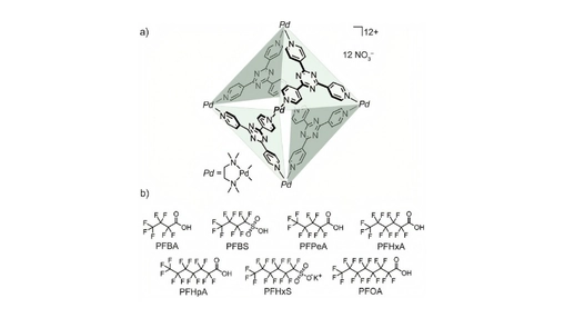 Scientific diagram of a palladium nano-cage structure with labelled PFAS compound chemical structures below
