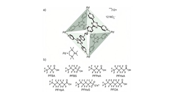 Scientific diagram of a palladium nano-cage structure with labelled PFAS compound chemical structures below